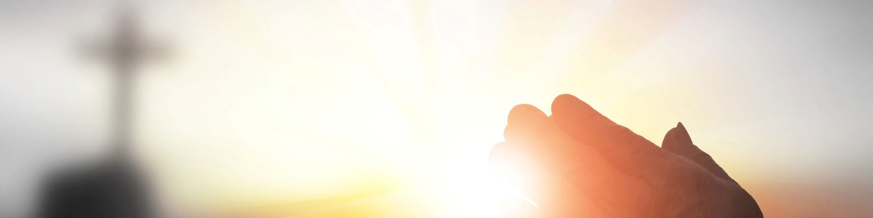 Parish announcements and church news at St. Elizabeth Catholic Church